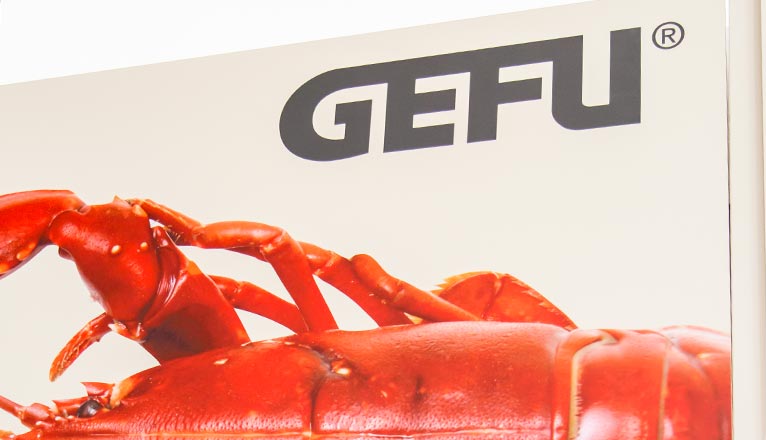 <i>Gefu</i><span>Cookware</span>